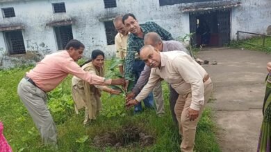 Photo of शासकीय कन्या उ.मा.शाला में किया गया वृक्षारोपण.