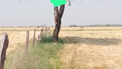 Photo of न्यू यार्ड इंदिरा नगर से लगे जय भीम नगर मे पेड़ से फांसी लगाकर व्यक्ति ने आत्महत्या की.