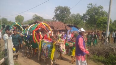 Photo of इटारसी से 15 किलोमीटर दूर विस्थापित गाँव नया माना मे एक अनोखा विवाह आयोजन जिसमें बैलगाड़ी से निकली बारात,अपनी परंपराओं से आज भी जुड़ा है आदिवासी समाज.