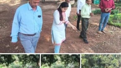 Photo of कलेक्टर ने किया पचमढ़ी स्थित पोलो उद्यान का निरीक्षण