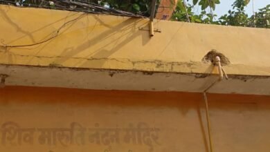 Photo of पुरानी इटारसी जमानी रोड स्थित शिव मारुति नंदन मन्दिर की लाइट कई दिनों से है बंद,क्षेत्र के नागरिकों ने नगर पालिका अध्यक्ष से अनुरोध किया.