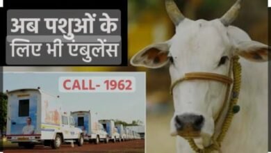 Photo of पशुधन_के_लिए_संजीवनी मध्यप्रदेश शासन की अभिनव योजना,पशुओं के उपचार की घर पहुंच सेवा 1962 के माध्यम से.