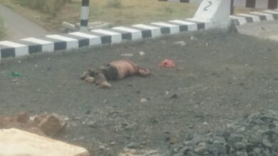 Photo of इटारसी-नागपुर भोपाल बायपास रेल्वे लाईन पर बोरतलाई गांव के पास बनी रेल्वे पुलिया पर मिला ग्रामीण का शव.