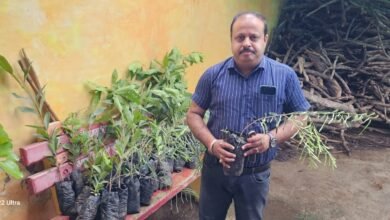 Photo of शांति धाम को 51 फलदार पौधे व्यवसायी संजय राय चौधरी द्वारा प्रदान किए गए.