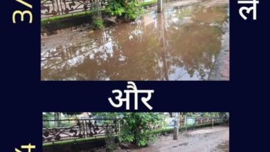 Photo of न्यास काॅलोनी के प्रमुख मार्ग पर पानी की लाइन के लीकेज के कारण लगभग 1 माह से जलभराव,काई-कीचड़ जमने की समस्या का पार्षद एवं सभापति राकेश जाधव ने किया समाधान.