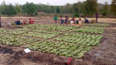 Photo of वन परिक्षेत्र इटारसी से जुड़े विभिन्न ग्रामों में तेंदूपत्ता के पैसे नहीं मिलने से ग्रामीण परेशान,वन मंडल अधिकारी को माननीय प्रदेश के मुख्यमंत्री के नाम दिया जाएगा ज्ञापन.