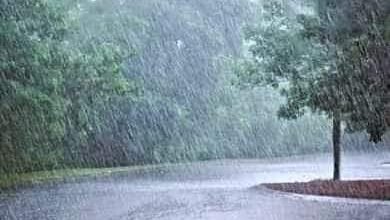 Photo of जिले की दैनिक वर्षा की जानकारी,जिले में 1 जून से आज दिनांक तक 174.1 मिलीमीटर वर्षा दर्ज,गत वर्ष इसी अवधि में हुई थी 192.3 मिलीमीटर वर्षा.