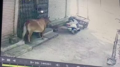 Photo of इटारसी के ऑयल व्यापारी संदेश अग्रवाल के घर के सामने खड़ी स्कूटी पर चोरों ने किया हाथ साफ.