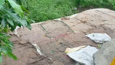 Photo of गोकुलधाम और जयप्रकाश कॉलोनी वार्ड नं 2 के निवासियो को इन दिनो भारी परेशानी,नपा अध्यक्ष एवं उपाध्यक्ष से समस्या का हल निकालने के लिए किया गया है निवेदन