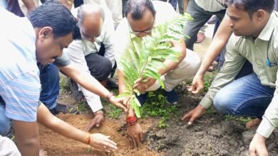 Photo of विधायक श्री विजयपाल सिंह जी की उपस्थिति में मध्यप्रदेश मध्‍य क्षेत्र विद्युत वितरण कंपनी वृत्‍त कार्यालय रसूलिया नर्मदापुरम के प्रांगण में पौध राेपण किया गया.