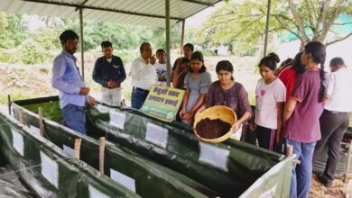 Photo of कृषि विज्ञान केंद्र में रावे की छात्राओं ने केंचुआ खाद बनाने की तकनीक सीखा,खेती में टिकाऊपन एवं लाभकारी बनाने हेतु वर्मीकंपोस्ट एक महत्वपूर्ण आदान.