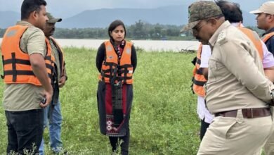 Photo of मढई में पर्यटकों को सुविधा मुहैया कराने कलेक्टर ने किया भ्रमण.