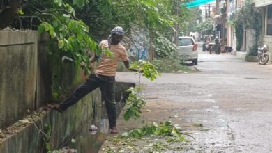 Photo of एमजीएम कॉलेज आयकर भवन के सामने सड़क पर लगे पेड़ो से राहगीरों को आवगमन करने में परेशानी का समाधान जन भागीदारी समिति अध्यक्ष डॉ नीरज जैन ने किया.