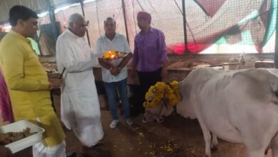 Photo of श्रीजी गौशाला पहुंचकर विधायक डॉ.सीतासरन शर्मा ने मनाया “गौरक्षा दिवस”,गोवंशों की पूजा कर खिलाया गुड़.