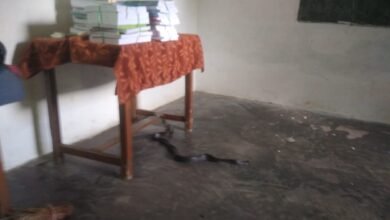 Photo of आदिवासी ब्लॉक केसला से जुड़े शासकीय स्कूलों की हालत जर्जर,सांप बिच्छू ने जमाया डेरा, प्रदेश के मुख्यमंत्री द्वारा इन ग्रामीणों की तरफ ध्यान नहीं है,जर्जर भवन तोड़ने के आदेश तो दिए जा रहे हैं लेकिन बनाने के नहीं,ग्रामीणों ने रखी मांग.