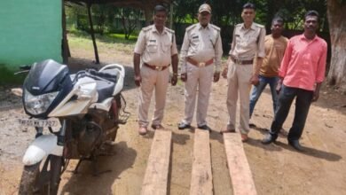 Photo of वन विभाग की टीम ने रात्रि गश्त के दौरान तीन अवैध सागौन की चरपट जप्त की,मौके से आरोपी फरार.