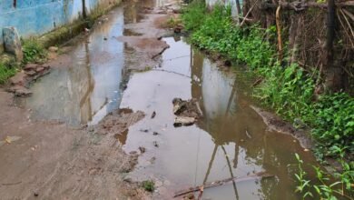 Photo of सोमलवाड़ा खुर्द में सरपंच सचिव का विकास कार्य पर ध्यान नही ग्रामीण अनेकों समस्याओं से जूझ रहे.