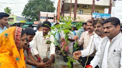 Photo of विश्व हिंदू परिषद स्थापना दिवस पर 1100 वृक्षों का वितरण कर किया प्रकृति राष्ट रक्षा का संकल्प। तिलक लगाकर प्रकृति प्रेमियों को किए वृक्ष भेट