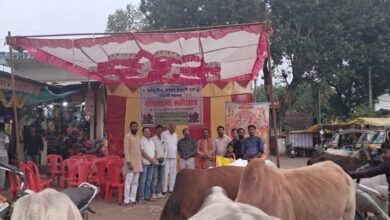 Photo of विश्व हिंदू परिषद ने गोपाष्टमी पर की गोमाता की महाआरती अन्नकूट गोचरण कराया,गोमाता की सेवा से ही विश्व का कल्याण होगा _ शिव राठौर.
