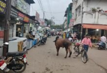 Photo of इटारसी शहर की सब्जी मंडी मे अव्यवस्था – पत्ती बाजार में दुकानदारों ने कर रखा है अतिक्रमण, 20 फुट का रोड रह गया 10 फुट आम नागरिकों को निकलने में तकलीफ.