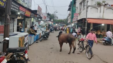Photo of इटारसी शहर की सब्जी मंडी मे अव्यवस्था – पत्ती बाजार में दुकानदारों ने कर रखा है अतिक्रमण, 20 फुट का रोड रह गया 10 फुट आम नागरिकों को निकलने में तकलीफ.